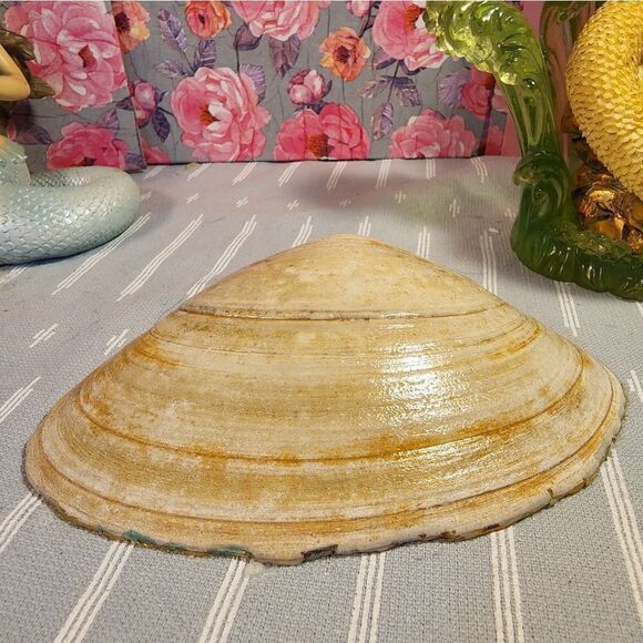 DECOUPAGE CLAM SHELL DECOUPAGE TRINKET DISH WITH KOALA BEAR AND BABY - Picture 10 of 10